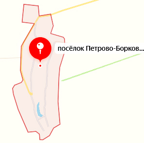 посёлок Петрово-Борковский.